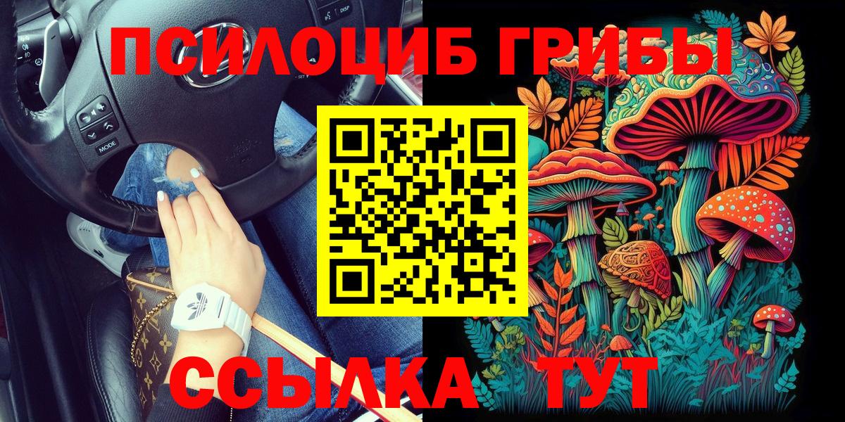 Галлюциногенные грибы Magic Shrooms  Вход с VPN  закладка  Гурьевск 