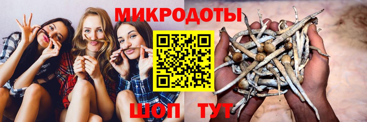 Псилоцибиновые грибы MAGIC MUSHROOMS Гурьевск
