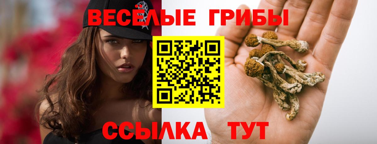 Гурьевск  ГАШ  Продажа наркотиков  КОКАИН  Альфа ПВП СК   Вход с VPN  Мефедрон кристаллы  МАРИХУАНА 